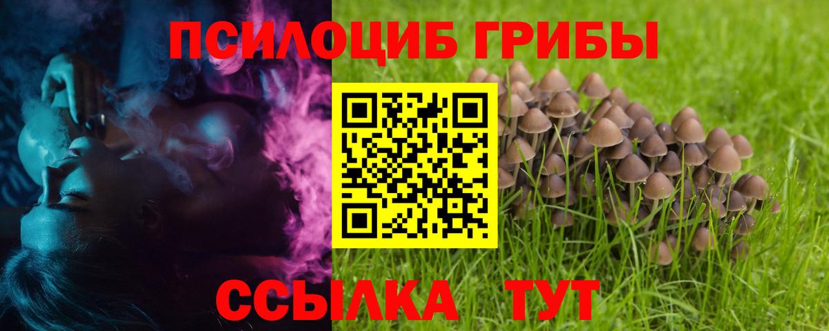 Псилоцибиновые грибы прущие грибы Усть-Илимск